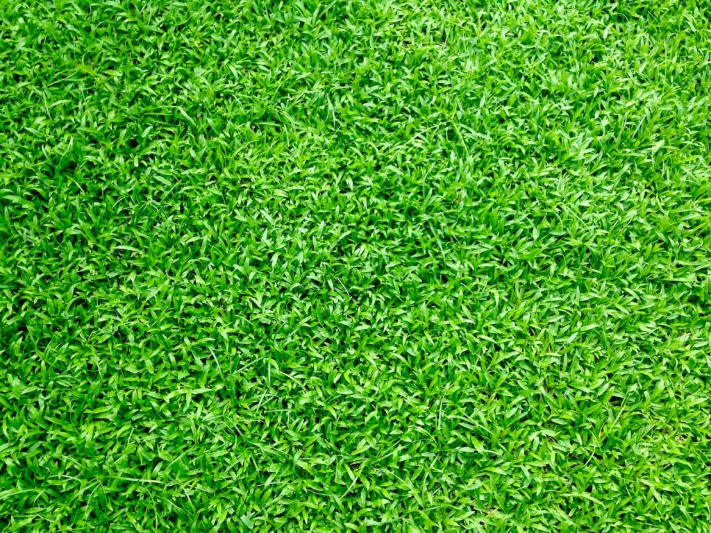 Lush green artificial turf texture